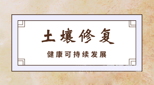2025新奥资料1688原网1688