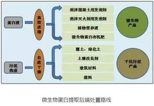 2025新奥资料1688原网1688